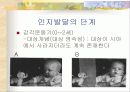 피아제의 인지발달 이론과 교수 학습이론 분석 및 피아제 이론에 기초한 교사의 역할 분석 8페이지