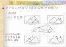 피아제의 인지발달 이론과 교수 학습이론 분석 및 피아제 이론에 기초한 교사의 역할 분석 11페이지