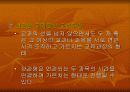 교육과정의 유형과 개혁 10페이지