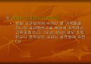 교육과정의 유형과 개혁 11페이지
