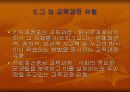 교육과정의 유형과 개혁 42페이지