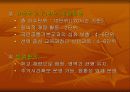 교육과정의 유형과 개혁 47페이지