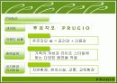 푸르지오 마케팅전략분석(A+레포트) 20페이지