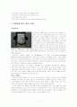 애니콜(anycall)마케팅 총분석(A+레포트) 11페이지