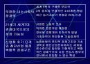 인도경제시장분석과 진출전략(A+레포트) 24페이지