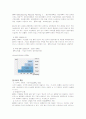 [생산관리]ERP시스템 구축,효과 5페이지