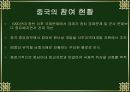 [국제관계]gms프로그램의 10년의 평가 9페이지