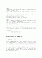 관료제의 핵심이론 정리 12페이지