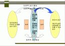 창의 개념적 이해와 분석에 관한 연구 9페이지