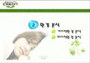 뷰티크레딧의 마케팅분석과 광고분석(A+레포트) 8페이지