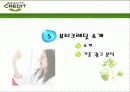 뷰티크레딧의 마케팅분석과 광고분석(A+레포트) 19페이지