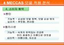 (광고 분석) STP, 수단-목적 모델, MECCAS 모델을 적용하여 분석해 본 [엘라스틴 VS 팬틴의 광고 분석] 22페이지