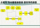 정보처리과정과 소비자 행동 과정 모형 분석 (지속적, 일시적 고관여자 등 3분류 분석) 3페이지