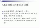 [가정학] 기능성 식품과 건강증진 13페이지
