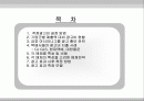 광고전략수립이론,사례,효과분석 2페이지