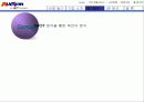 옥션의 마케팅 전략 12페이지
