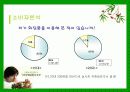 [경영전략,마케팅] THE FACESHOP의 경영전략,마케팅,사업 분석 12페이지