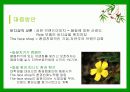 [경영전략,마케팅] THE FACESHOP의 경영전략,마케팅,사업 분석 26페이지