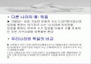 대리임신 대리모가 필요한가 대리모의 문제점 20페이지