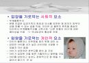 대리임신 대리모가 필요한가 대리모의 문제점 21페이지