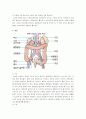 소화기계 구조와 기능 및 간호중재 10페이지