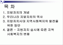 지방자치의 개념분석과 발전방안(A+레포트) 2페이지