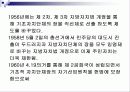 지방자치의 개념분석과 발전방안(A+레포트) 33페이지