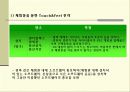 PS2(플레이스테이션2)의 마케팅분석과 광고분석(A+레포트) 32페이지