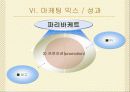 [마케팅전략,기업경영전략]파리바게트와 뚜레쥬르의 상황분석,SWOT분석 17페이지