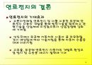 차세대 전지 발표 자료 18페이지