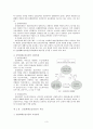 외국인 근로자 산업재해 (산재의 구성,적용,현황, 외국인근로자 현황실태,제도,구분등 정리) 3페이지
