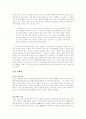 중국진출 한국기업의 성공사례 5페이지