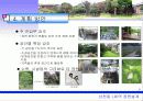 정원설계 7페이지