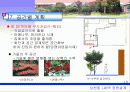 정원설계 10페이지