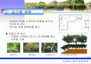 정원설계 12페이지