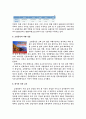 여행사 웹 사이트 분석(노랑풍선) 3페이지