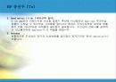 RF(Radio Frequency)통신의 이해 10페이지