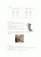 카이로프락틱에 대한 조사 11페이지