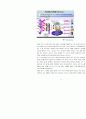 모바일컨텐츠 산업분석과 향후전망(A+레포트) 45페이지