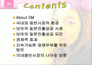 보아의 일본 진출 성공 사례분석 2페이지