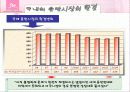 보아의 일본 진출 성공 사례분석 4페이지