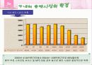 보아의 일본 진출 성공 사례분석 5페이지
