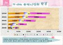 보아의 일본 진출 성공 사례분석 6페이지