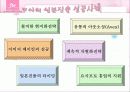 보아의 일본 진출 성공 사례분석 14페이지