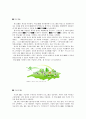 IT산업과 방송통신의 융합(DMB,와이브로) 2페이지