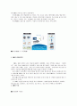 IT산업과 방송통신의 융합(DMB,와이브로) 3페이지