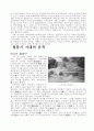 강화도 답사 인문과학 분석자료 9페이지