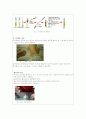 균 접종 실험 보고서 3페이지