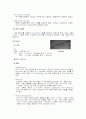 크로마토그래피(Chromatography) 실험보고서 13페이지