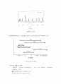 크로마토그래피(Chromatography) 실험보고서 32페이지